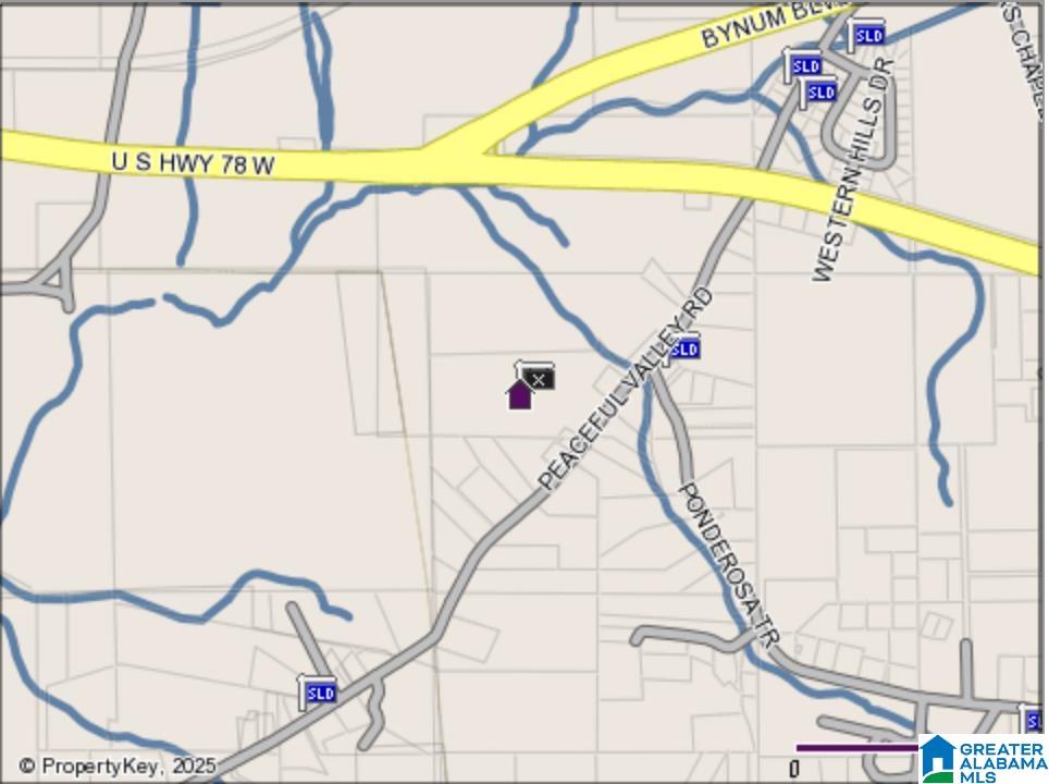 0 Peaceful Valley Road Eastaboga, AL 36260 - Photo 15 of 15