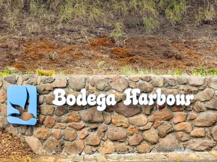 a view of a backyard of the house