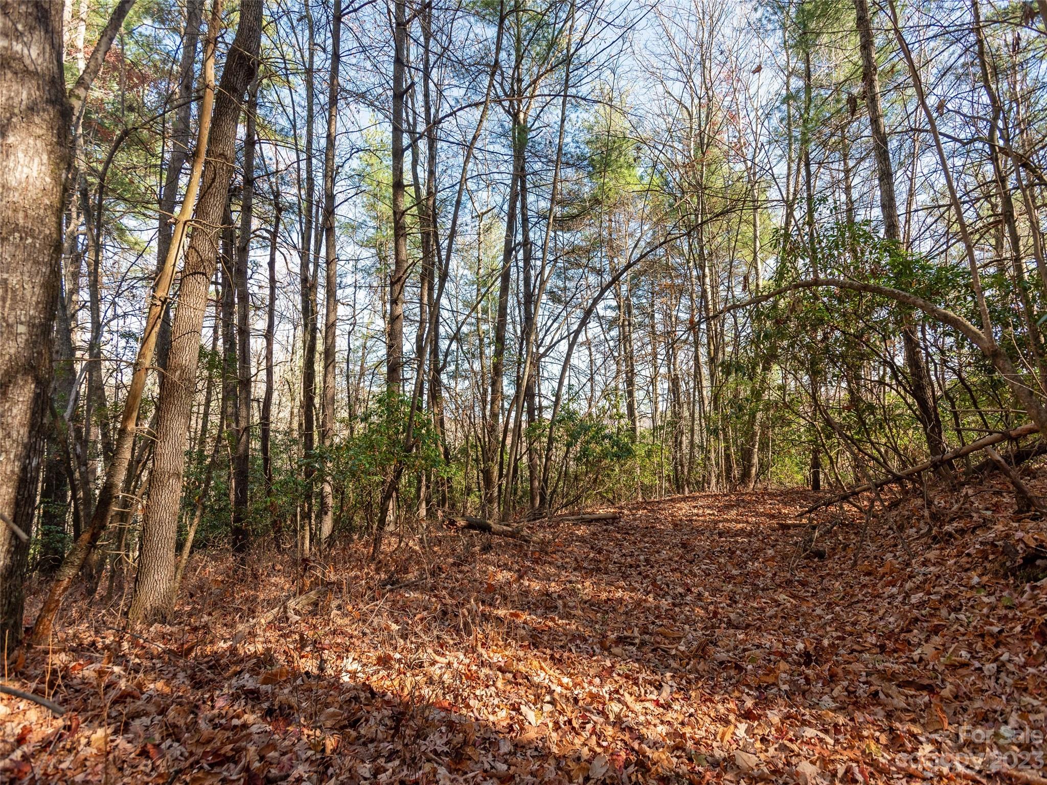 0 Walnut Ridge Road Brevard, NC 28712 - Photo 2 of 18 a view of backyard with green space