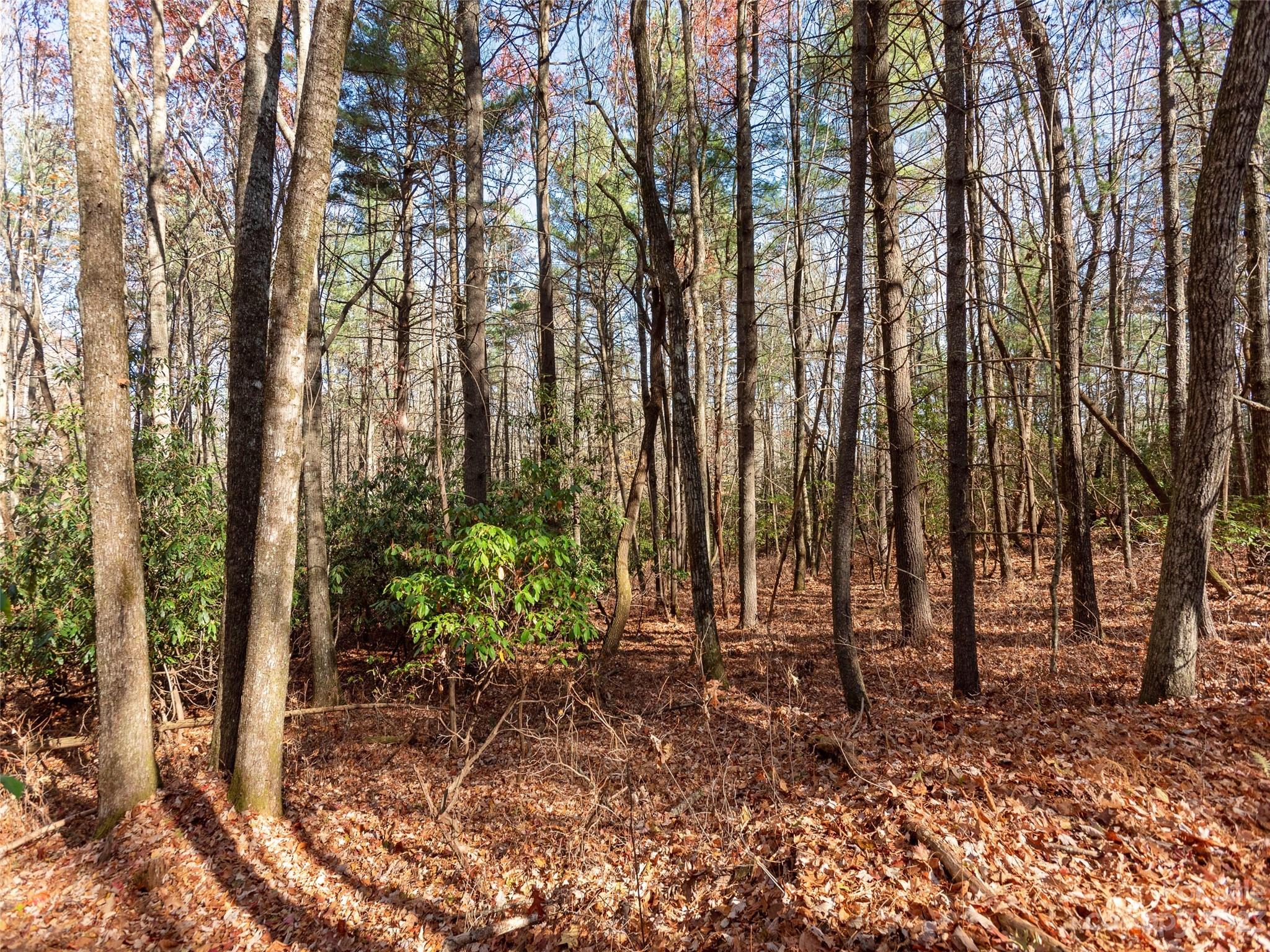 0 Walnut Ridge Road Brevard, NC 28712 - Photo 3 of 18 a view of outdoor space with lots of trees