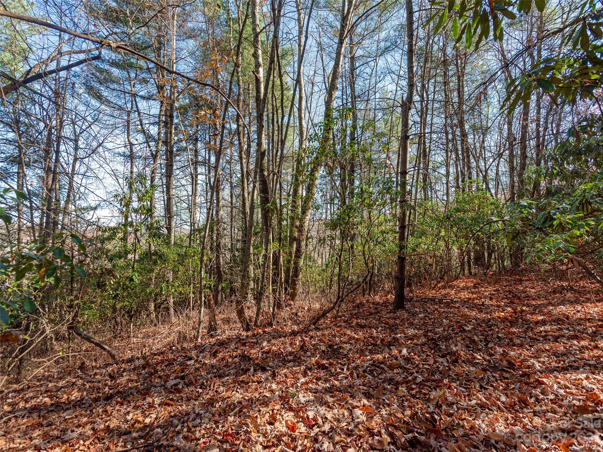 0 Walnut Ridge Road Brevard, NC 28712 - Photo 4 of 18 a view of backyard with tree