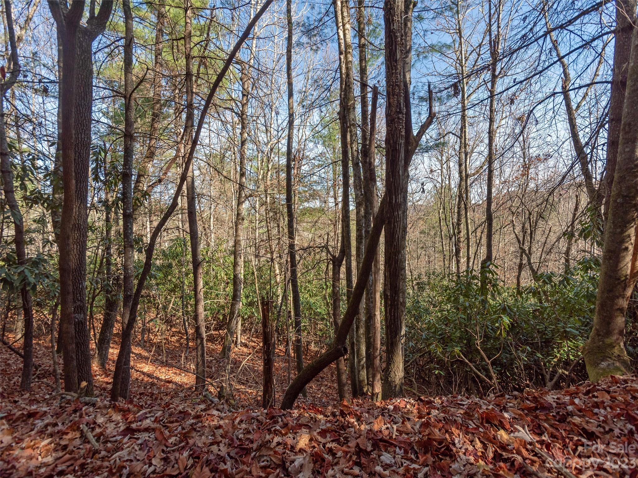 0 Walnut Ridge Road Brevard, NC 28712 - Photo 5 of 18 a backyard of a house with lots of green space