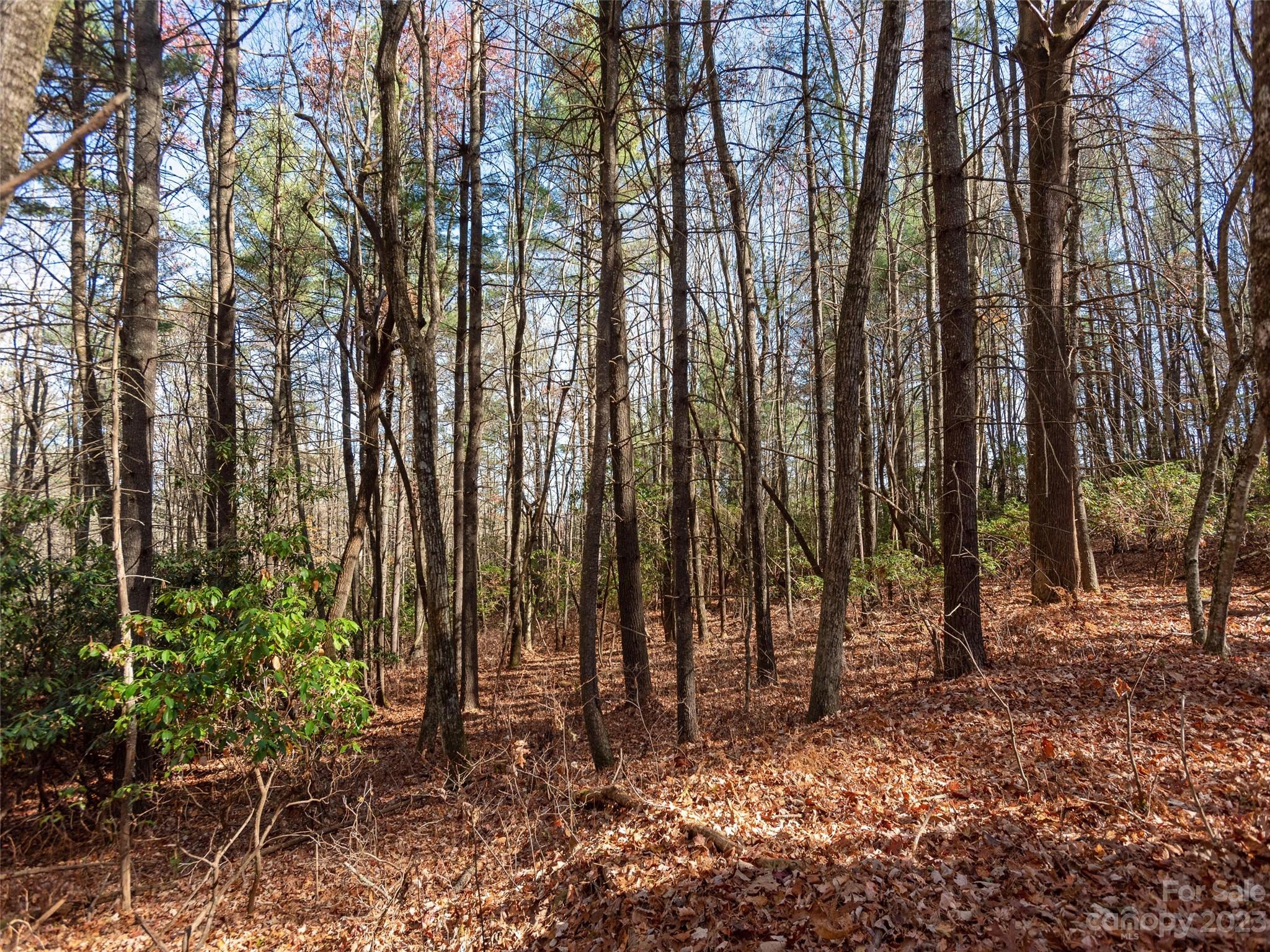 0 Walnut Ridge Road Brevard, NC 28712 - Photo 7 of 18 a view of outdoor space with lots of trees