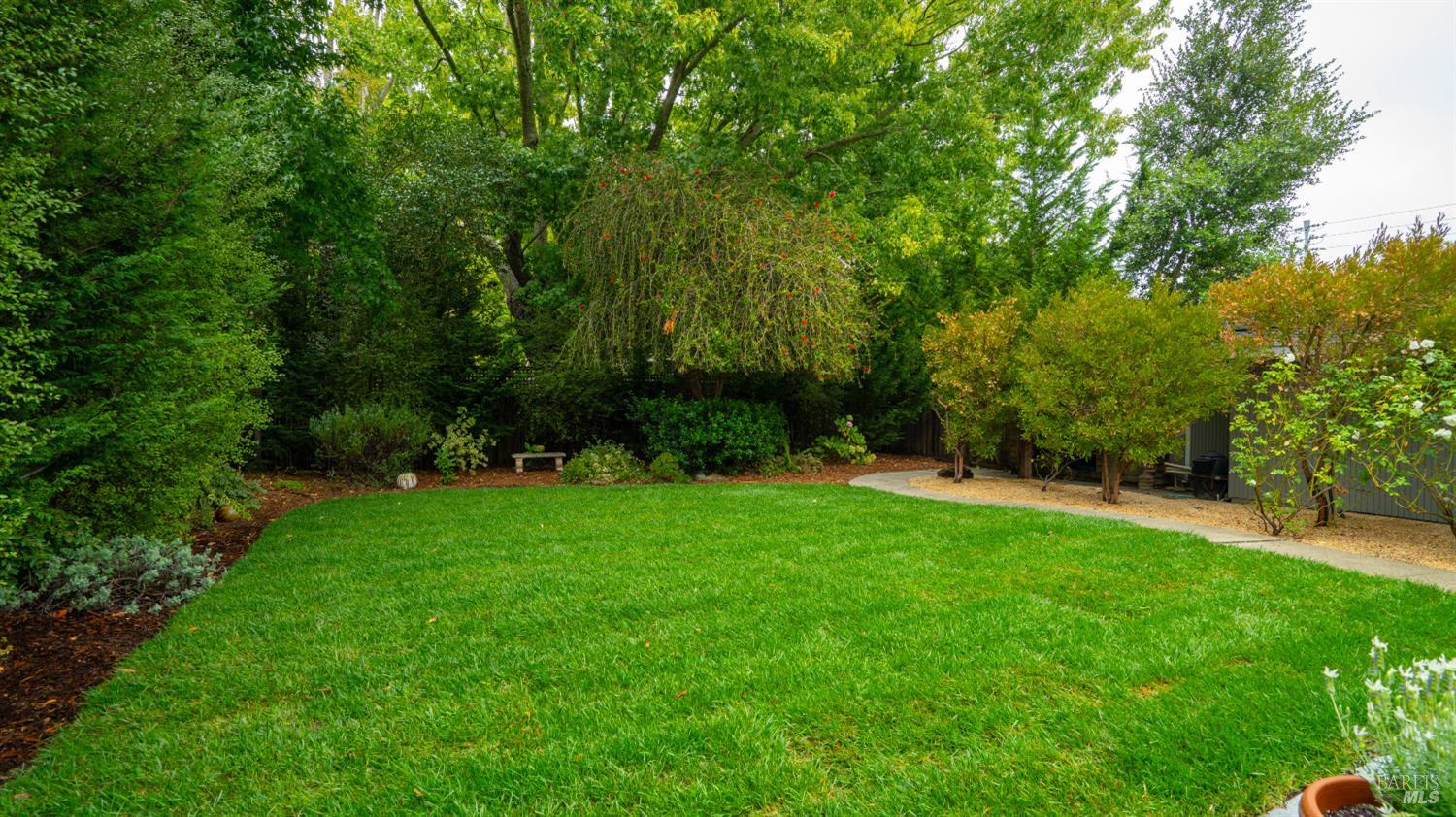 325 Point San Pedro Road San Rafael, CA 94901 - Photo 58 of 88 Brand new lawn