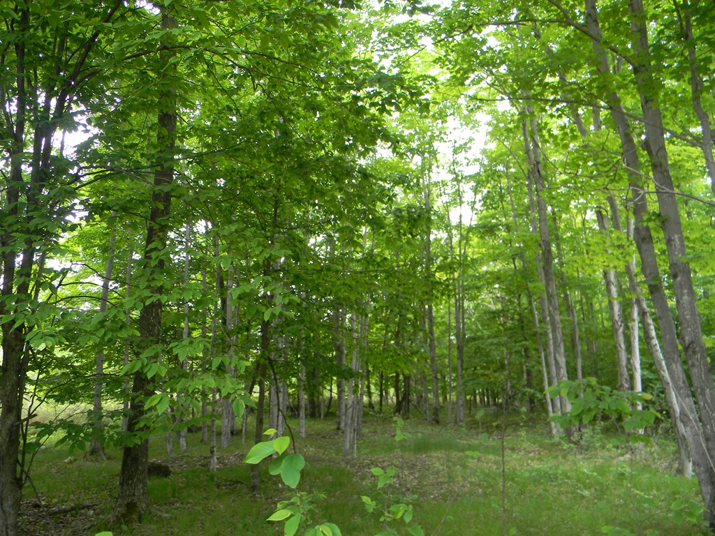 Rasner Way Fish Creek, WI 54212 - Photo 6 of 14