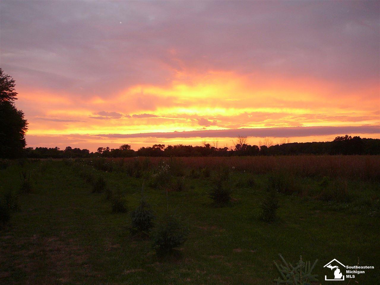 6218 West Dunbar Road Monroe, MI 48161 - Photo 38 of 38