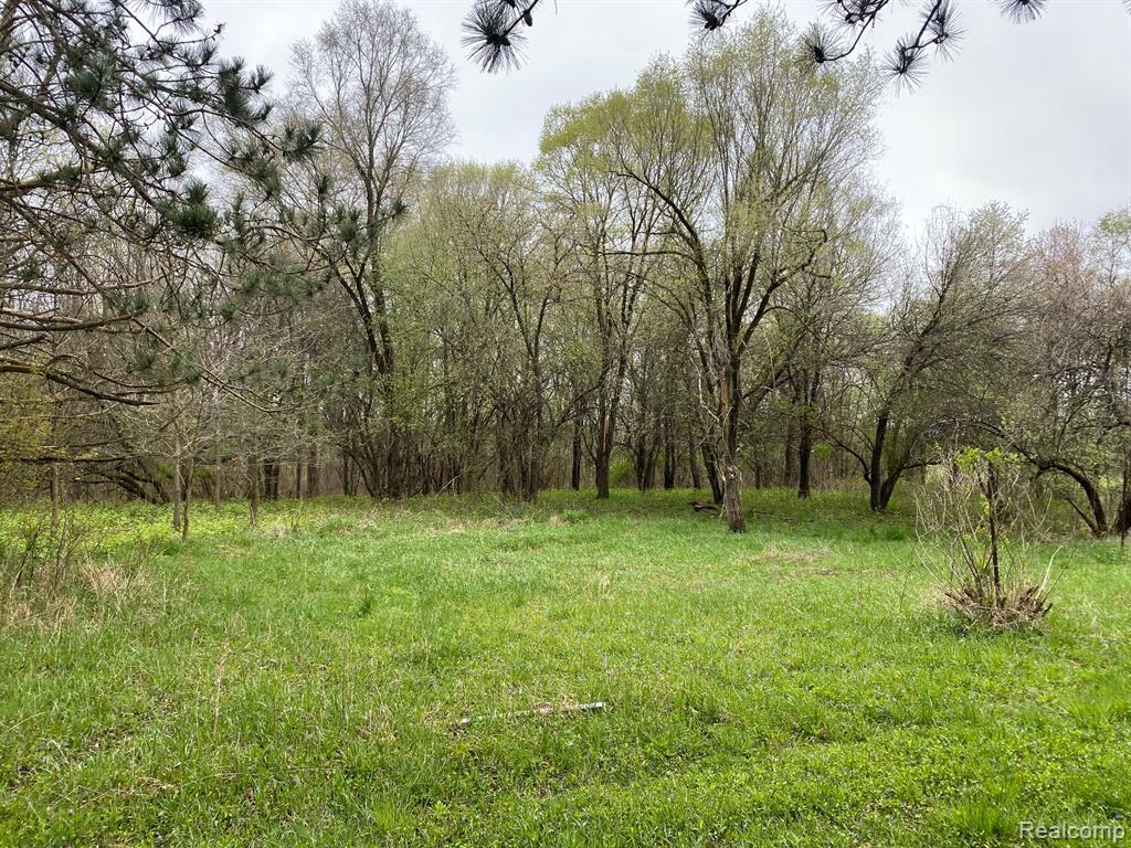 0 West Rose Center Road Holly, MI 48442 - Photo 3 of 7
