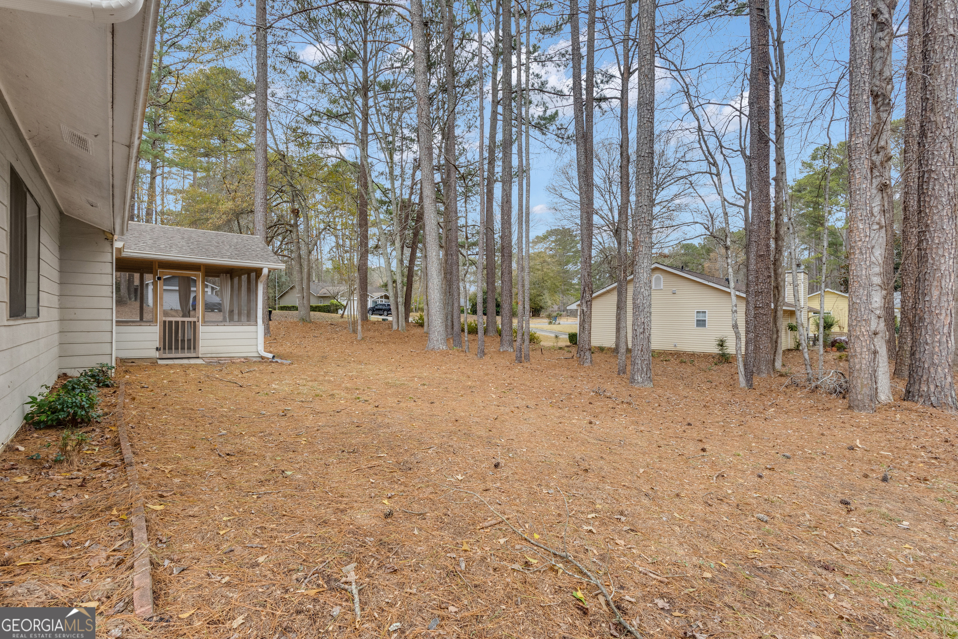 101 Dove Rise Peachtree City, GA 30269 - Photo 36 of 41 a view of a house with a snow in the yard