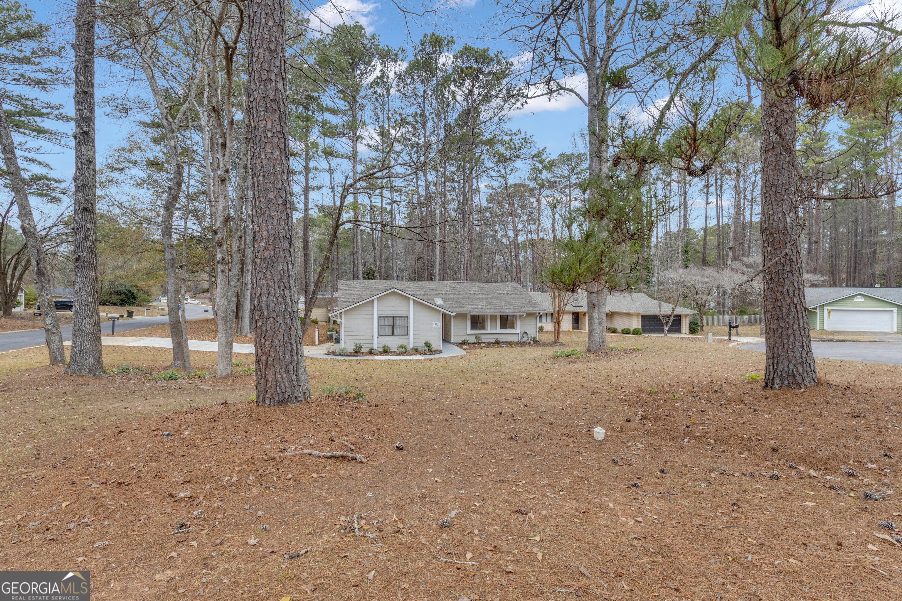 101 Dove Rise Peachtree City, GA 30269 - Photo 38 of 41 a view of a road with trees