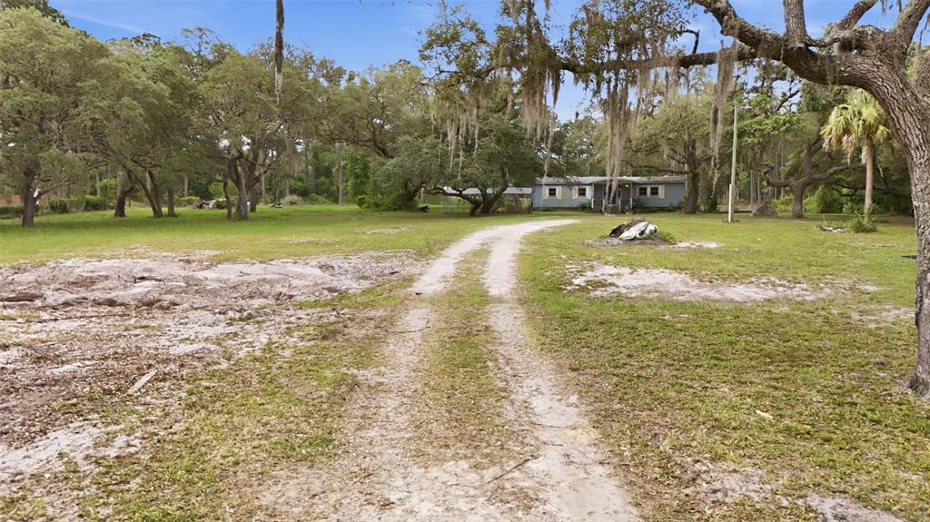 9380 North Cedar Cove Road Dunnellon, FL 34434 - Photo 53 of 55