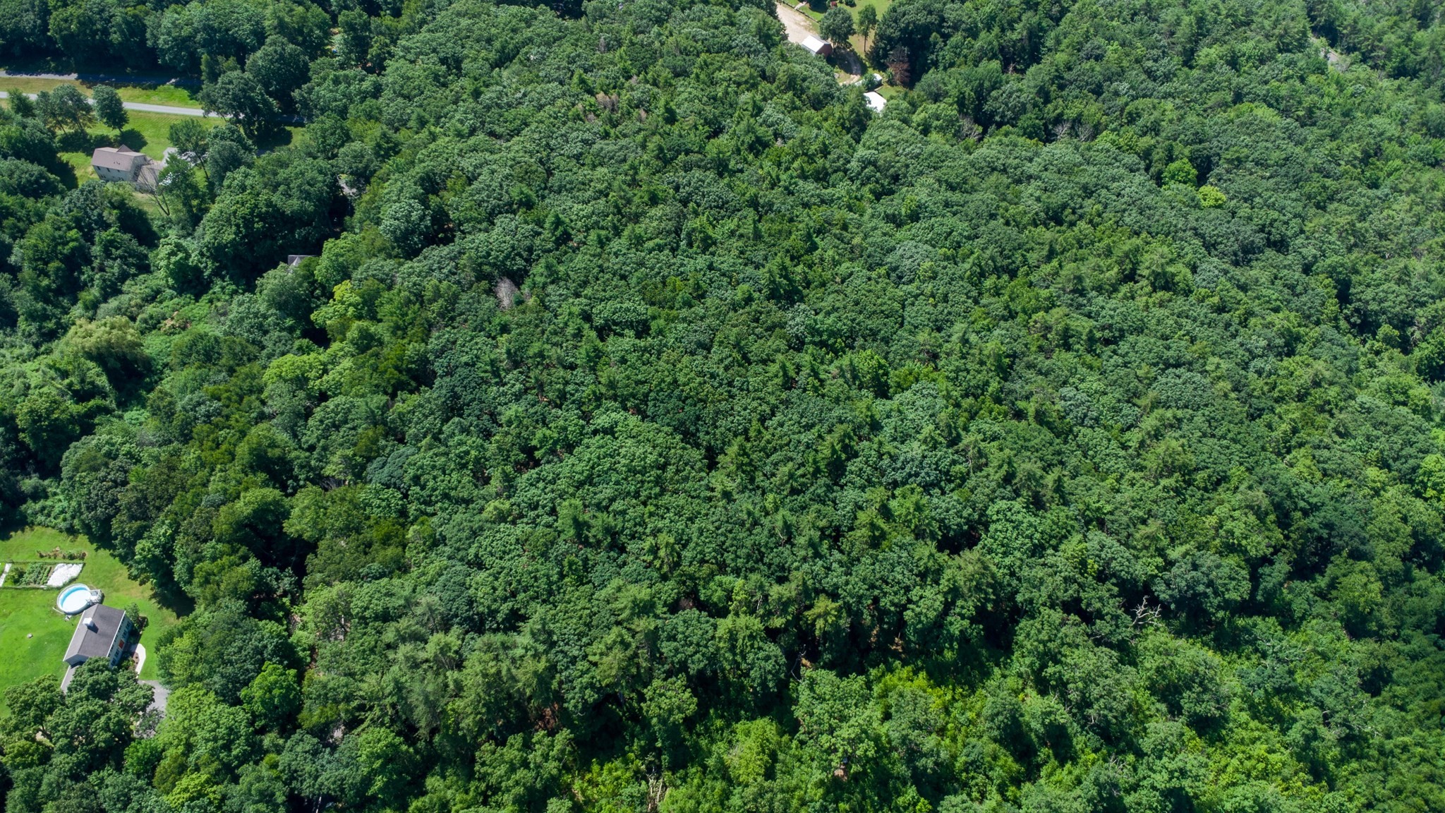 0 Walnut Hill Road Orange, MA 01364 - Photo 11 of 12 Gallery Image 11