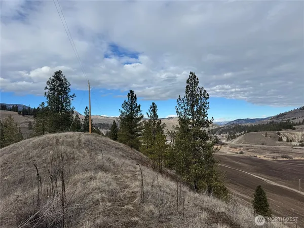 a view of a lake in middle of forest
