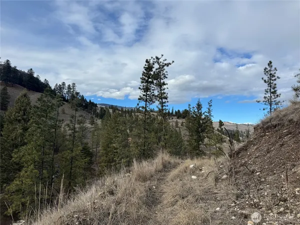 a view of a lake with a mountain in the background