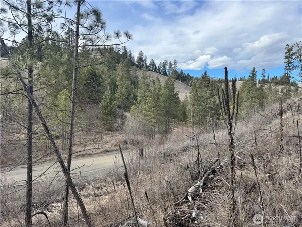 a view of a yard with mountain view