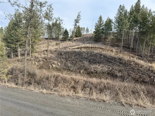 $93,000 | 6-lot 6-lot Tbd Lundimo Meadows, Curlew, WA 99118