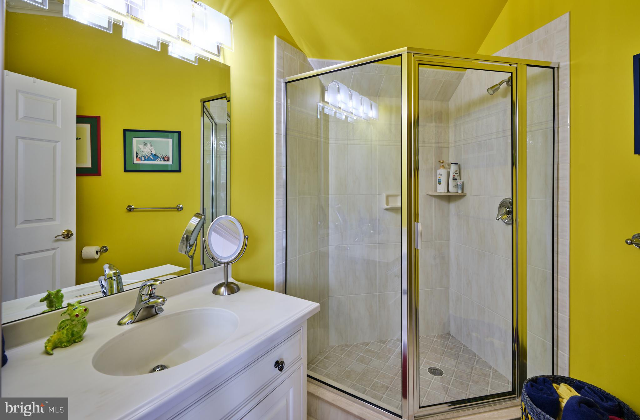 6020 Atkinson Road New Hope, PA 18938 - Photo 43 of 87 a bathroom with a sink mirror and shower