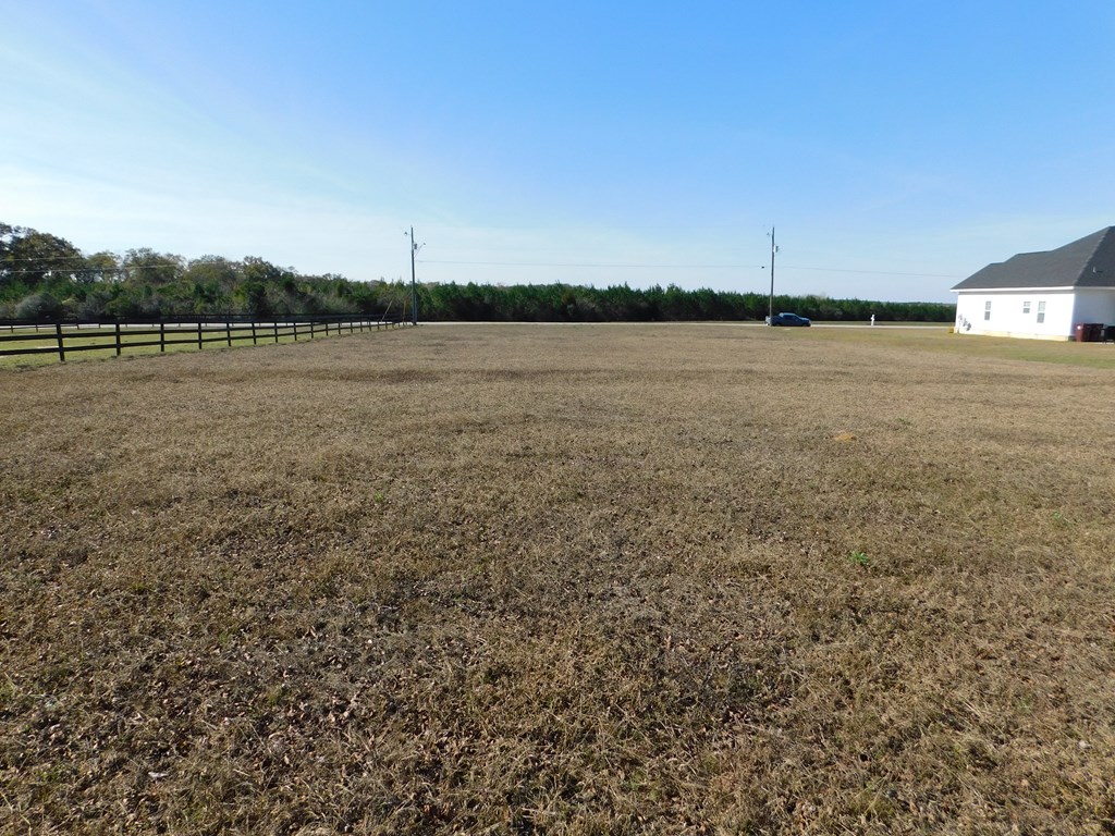 0 Airport Road Slocomb, AL 36375 - Photo 8 of 8