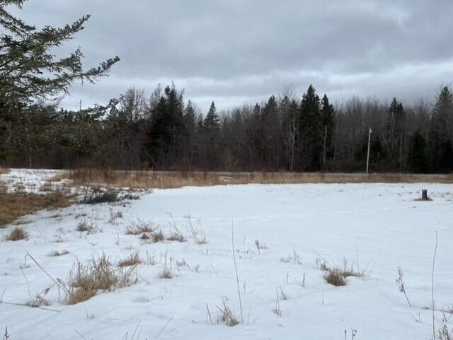 115 Cross Road Columbia Falls, ME 04623 - Photo 20 of 25 cr20