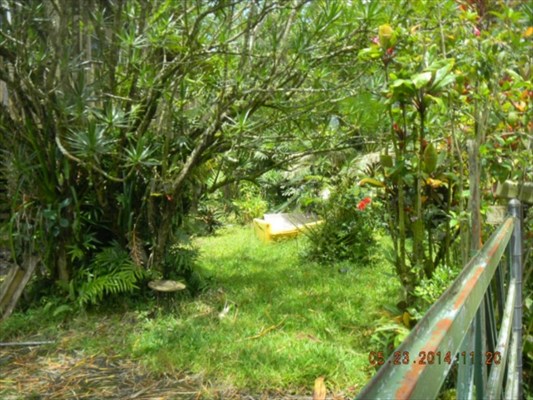 143 Kauai Road Pahoa, HI 96778 - Photo 7 of 8 Gallery Image 7