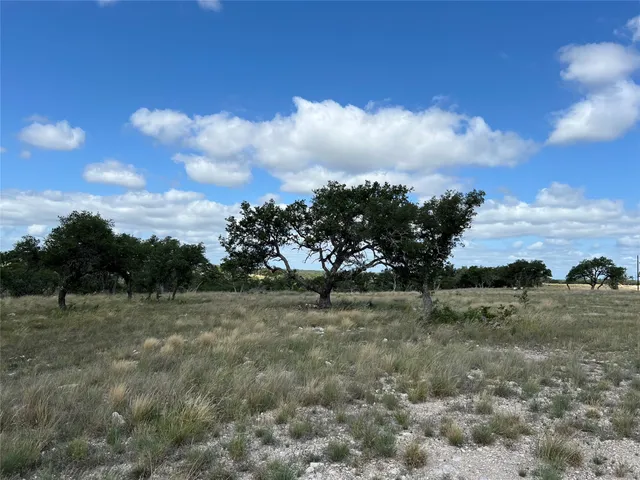 a view of a dry yard with trees in the background