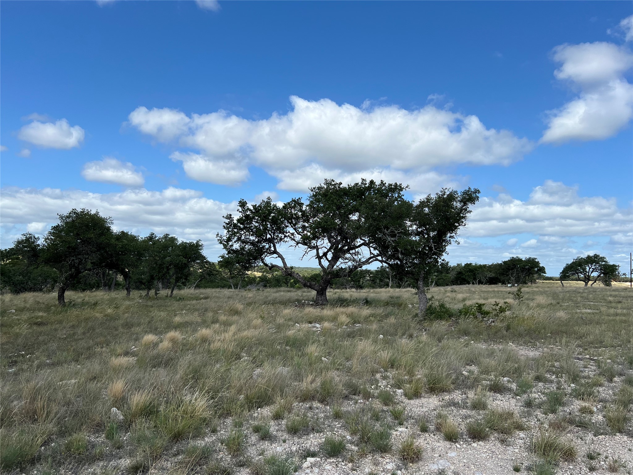 Lot 80 Seven Springs Ranch Junction Junction, TX 76849 - Photo 7 of 17 a view of a dry yard with trees in the background