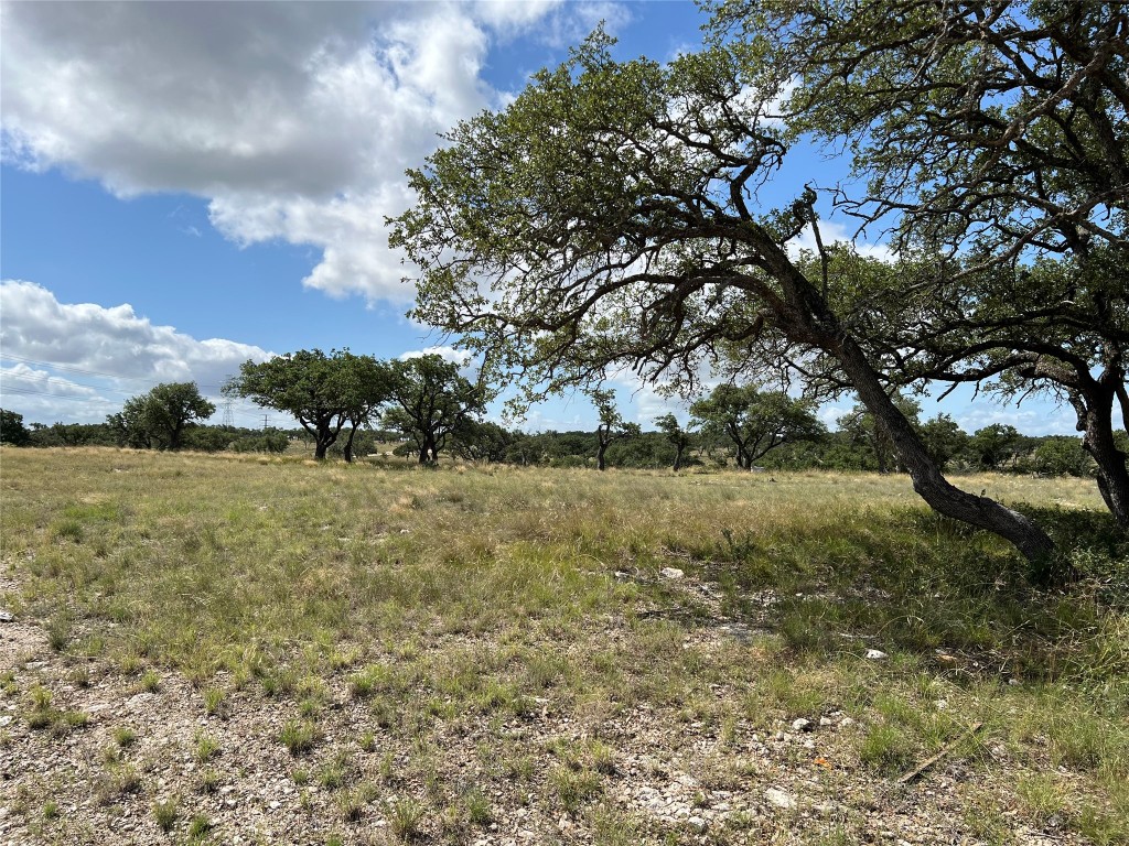 Lot 80 Seven Springs Ranch Junction Junction, TX 76849 - Photo 8 of 17 a view of yard with green space