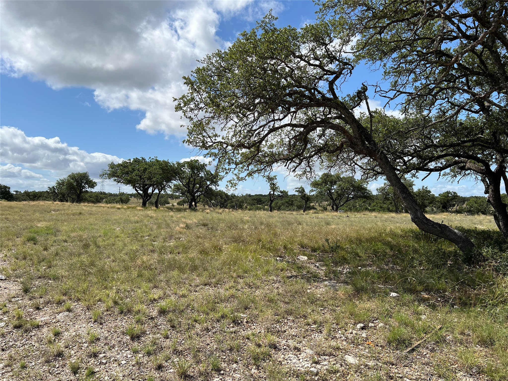 Lot 80 Seven Springs Ranch Junction Junction, TX 76849 - Photo 8 of 17 a view of yard with green space