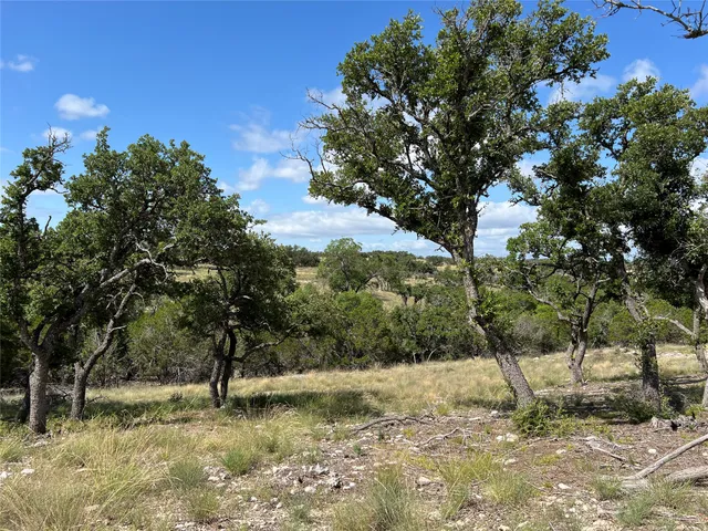 a view of a yard with a tree