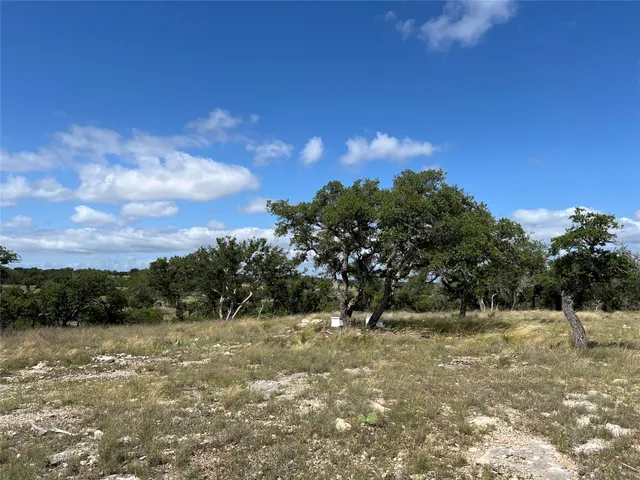 a view of a yard with a tree