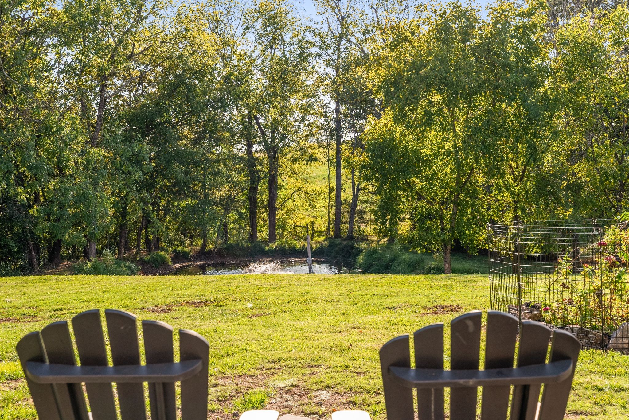 1780 Berea Church Road Lebanon, TN 37087 - Photo 50 of 62 a view of yard with swimming pool and seating space