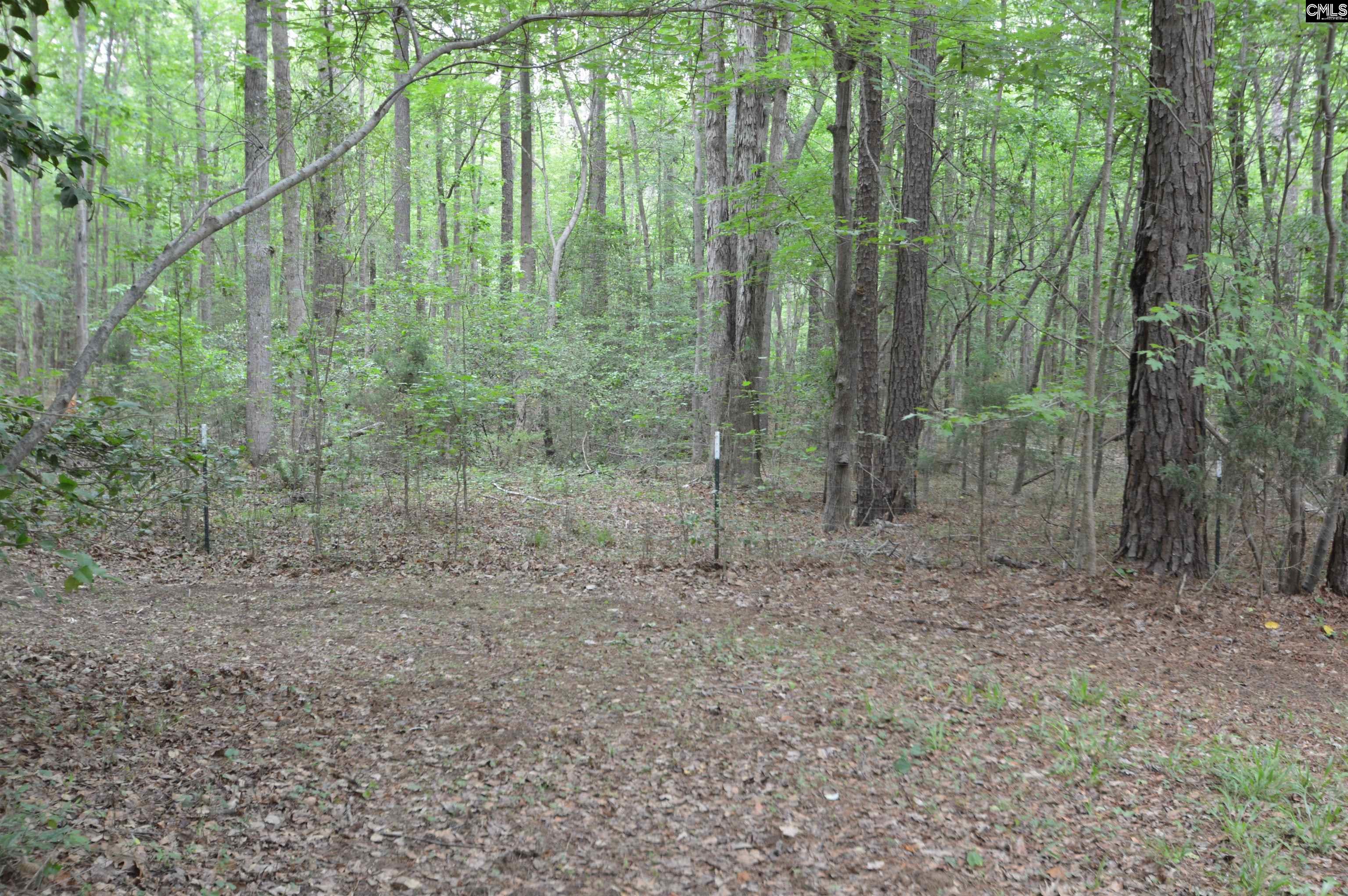 388 State Rd S-28-101 Elgin, SC 29045 - Photo 55 of 55