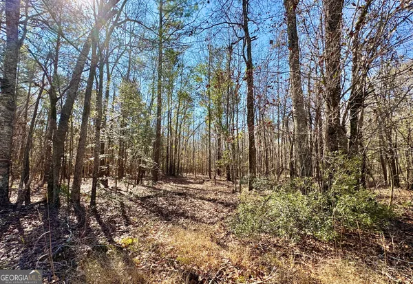 $199,000 | 0 Cross Cedar Road, Wrightsville, GA 31096