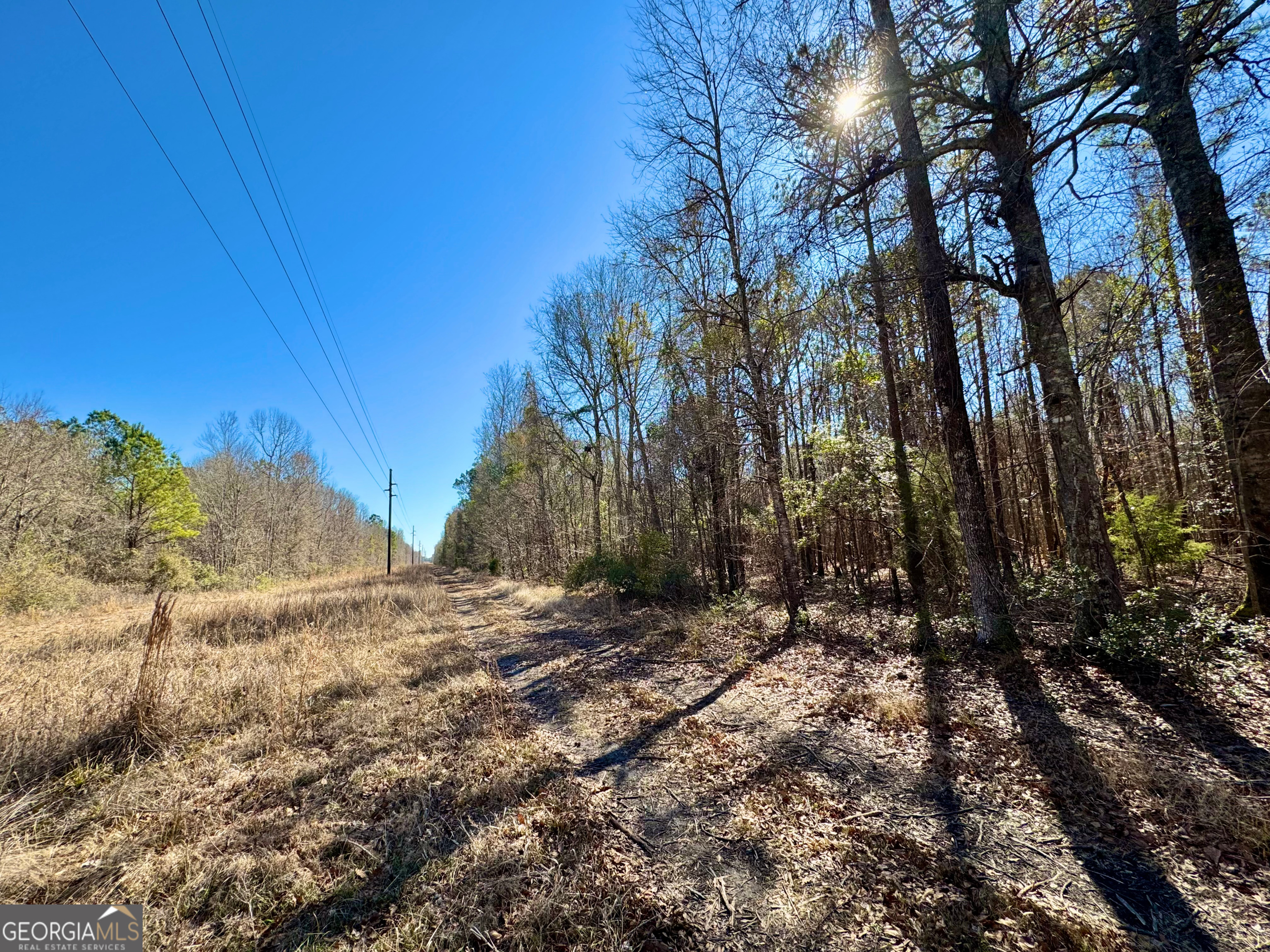 0 Cross Cedar Road Wrightsville, GA 31096 - Photo 13 of 36