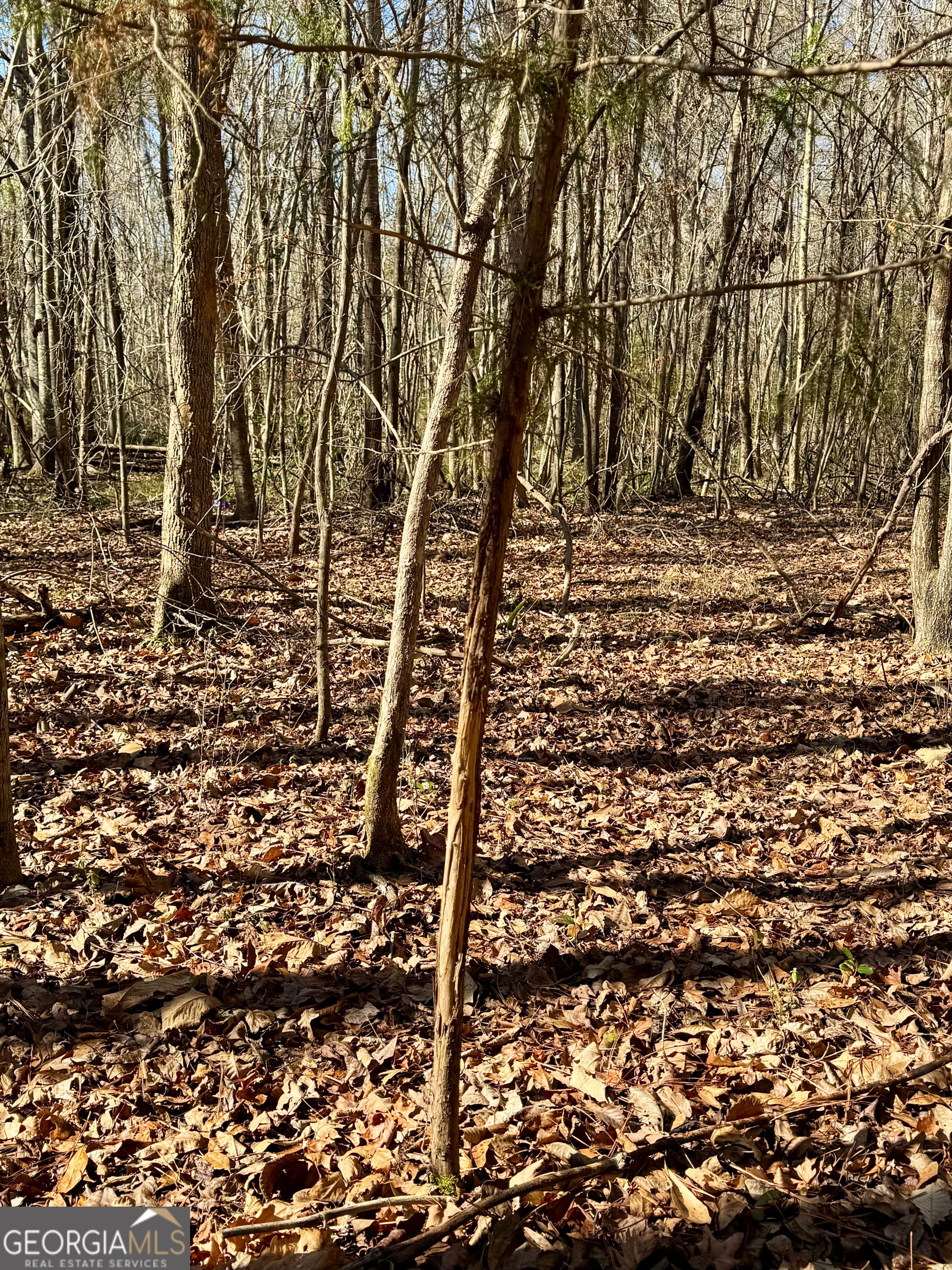 0 Cross Cedar Road Wrightsville, GA 31096 - Photo 14 of 36