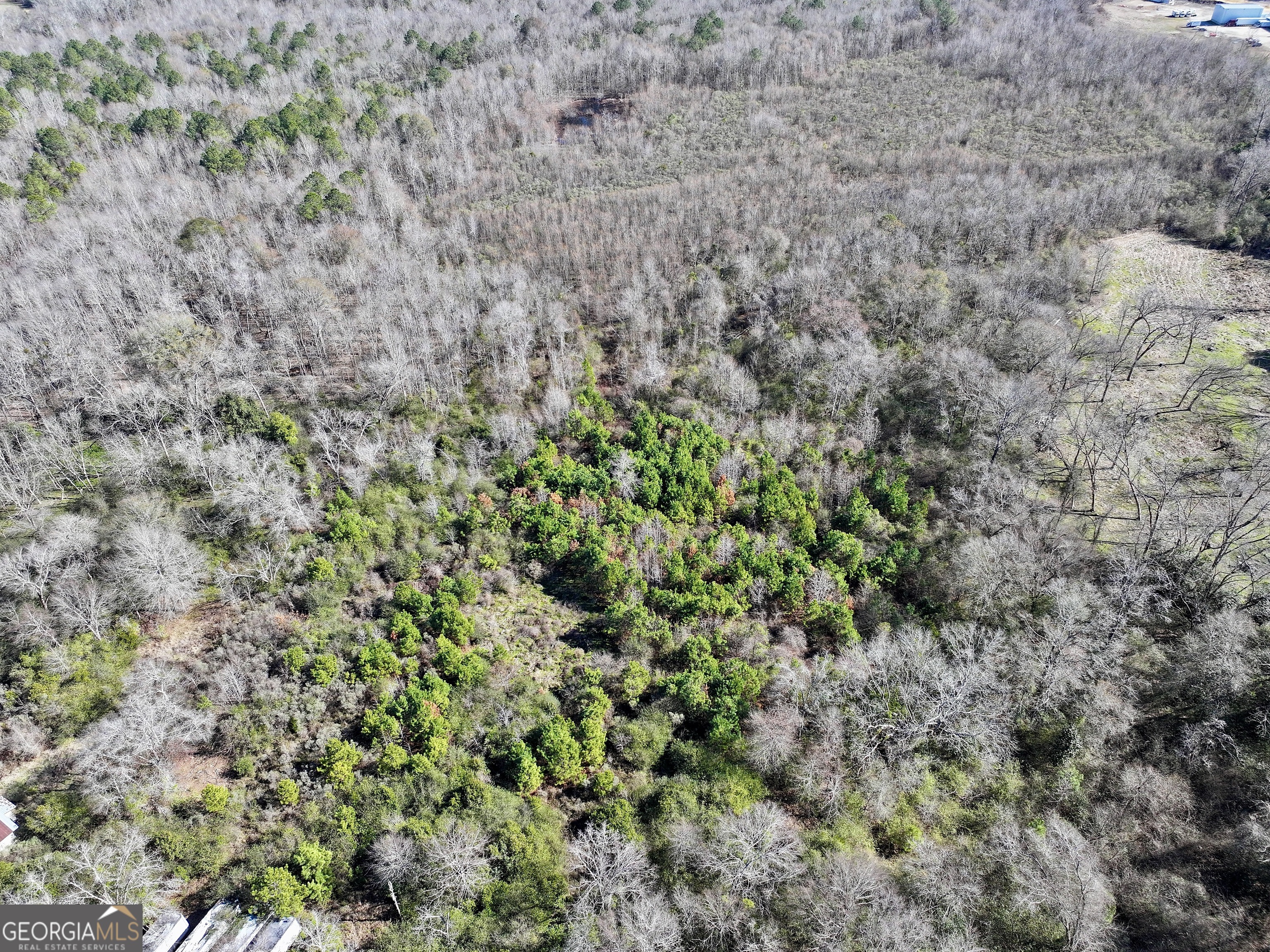 0 Cross Cedar Road Wrightsville, GA 31096 - Photo 19 of 36