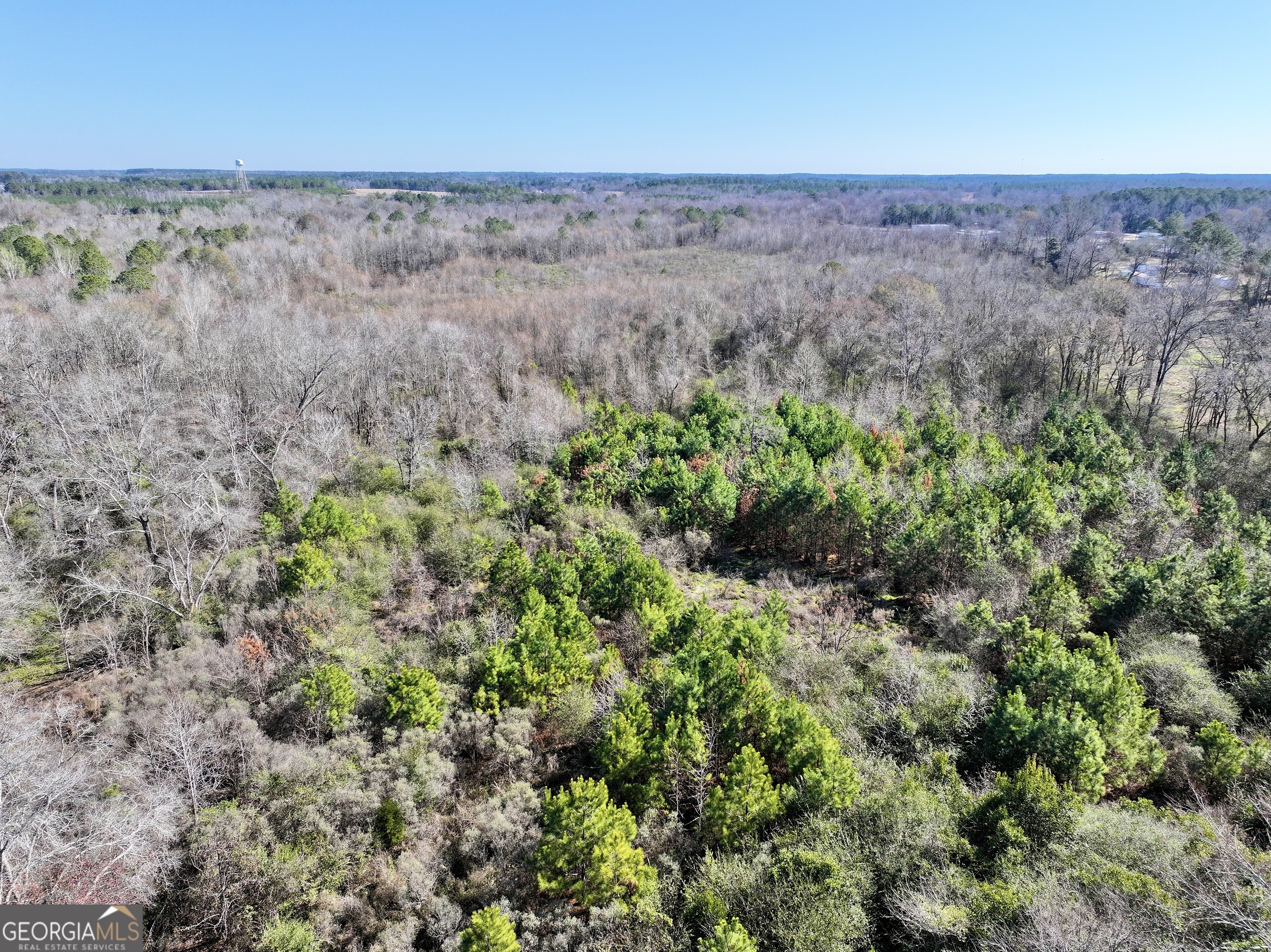 0 Cross Cedar Road Wrightsville, GA 31096 - Photo 22 of 36