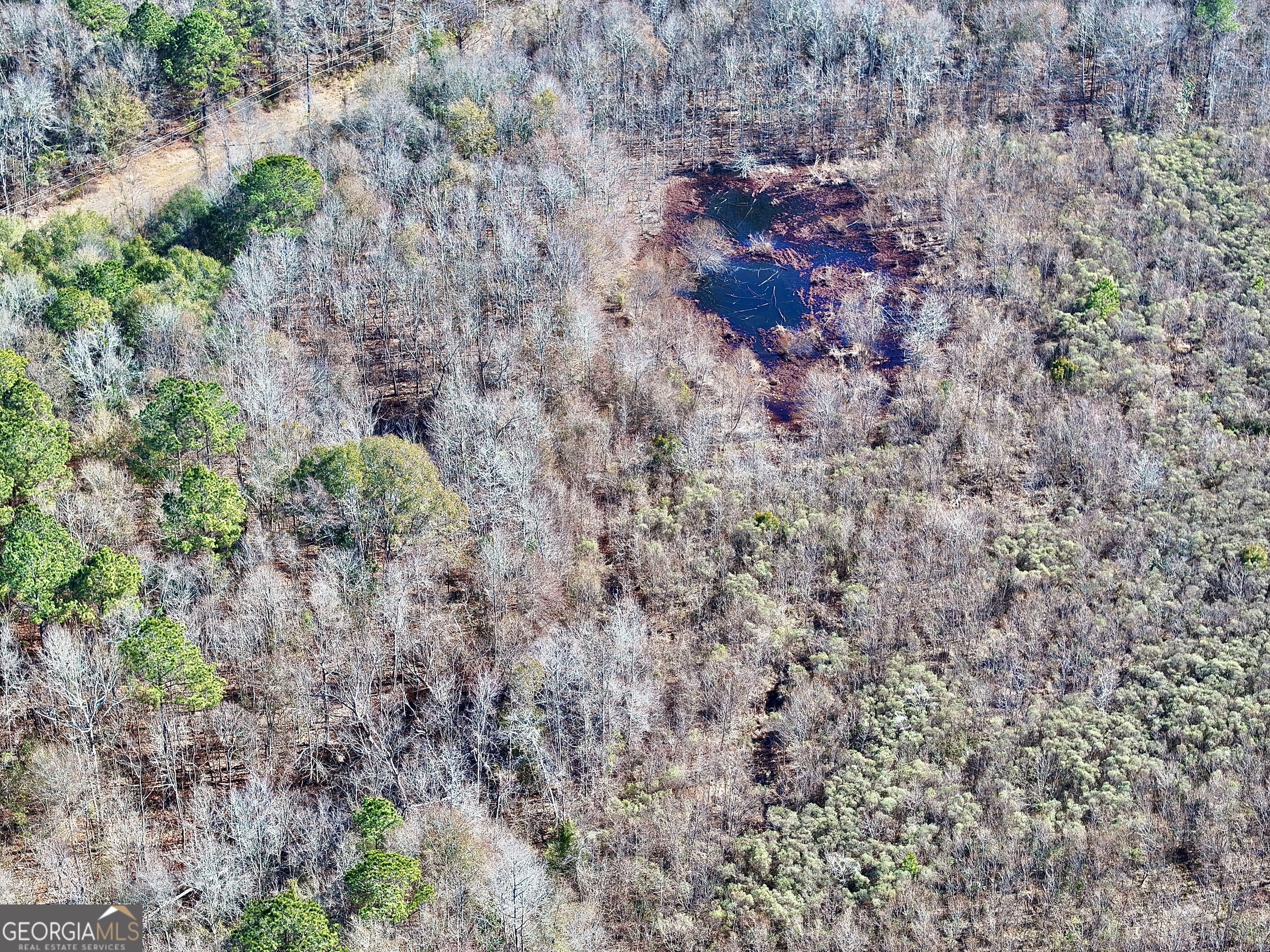 0 Cross Cedar Road Wrightsville, GA 31096 - Photo 31 of 36