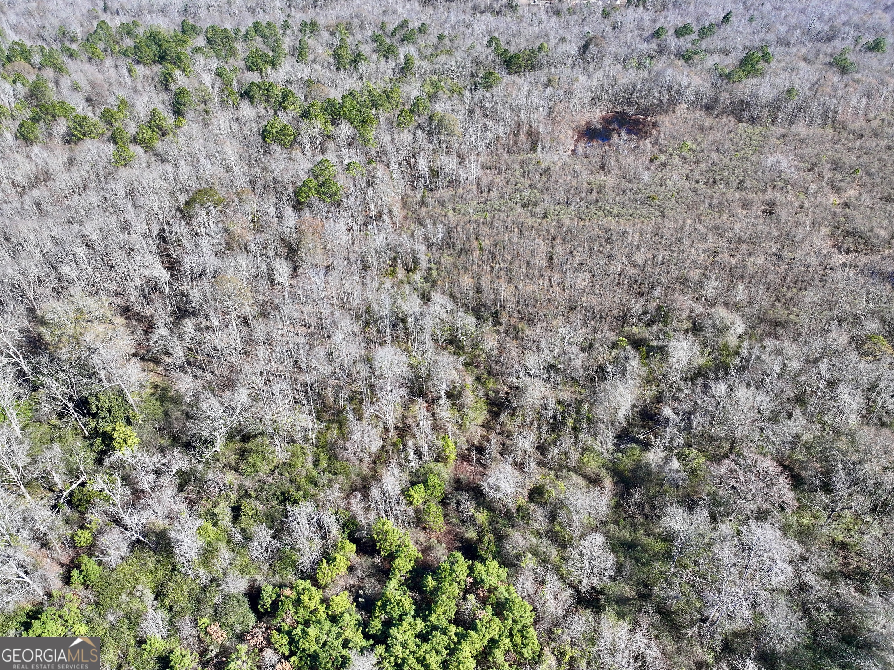 0 Cross Cedar Road Wrightsville, GA 31096 - Photo 32 of 36