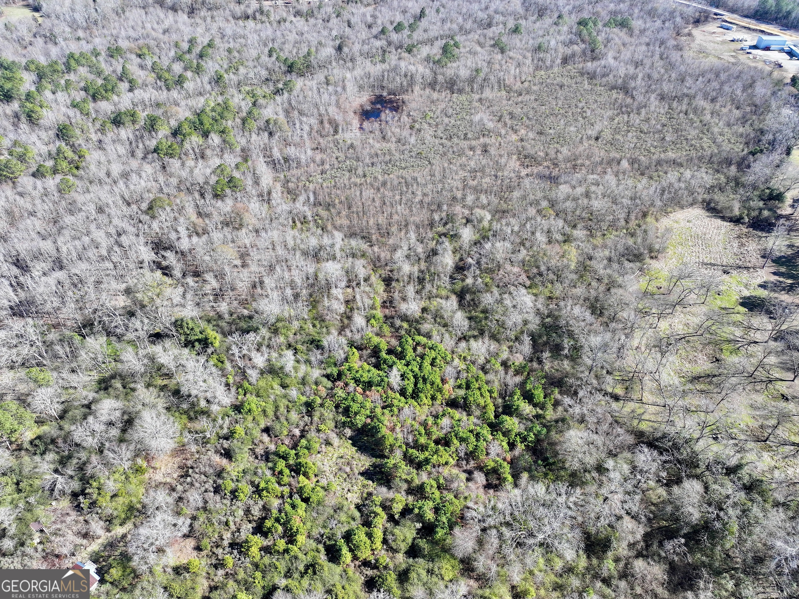 0 Cross Cedar Road Wrightsville, GA 31096 - Photo 34 of 36