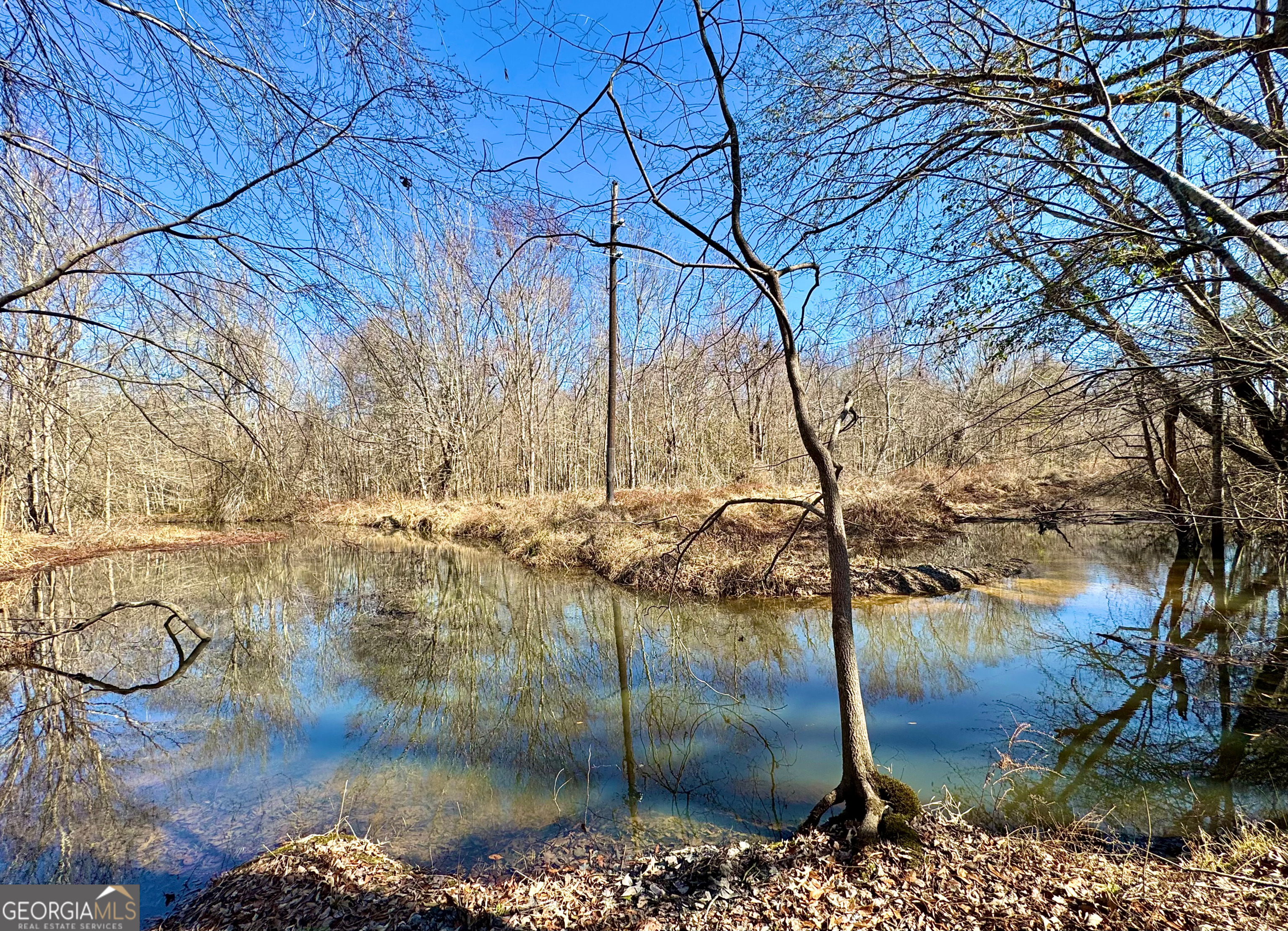 0 Cross Cedar Road Wrightsville, GA 31096 - Photo 4 of 36