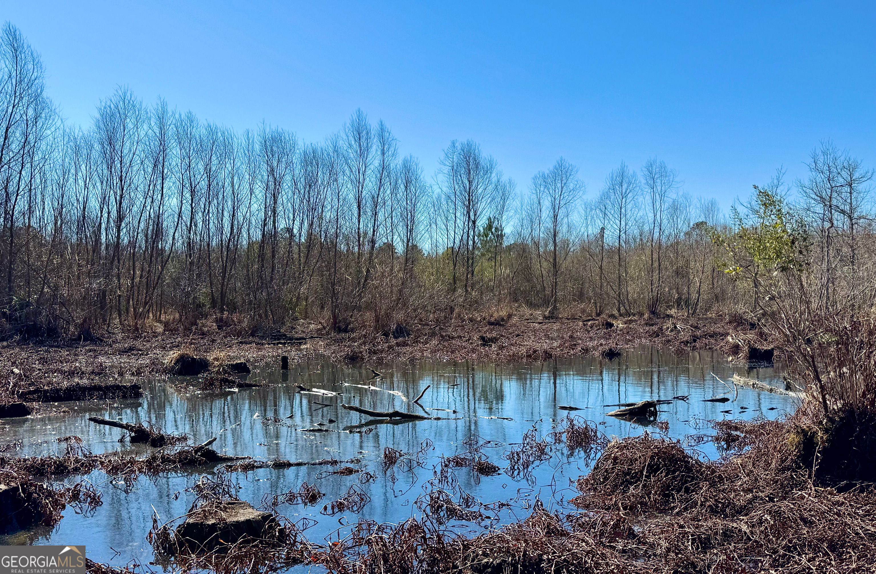 0 Cross Cedar Road Wrightsville, GA 31096 - Photo 6 of 36