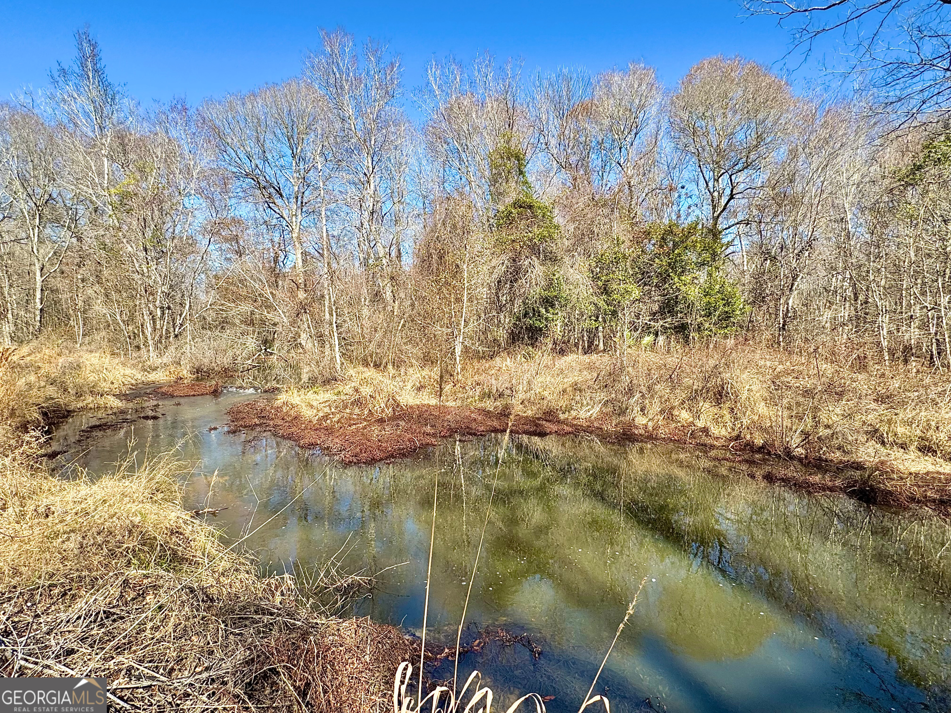 0 Cross Cedar Road Wrightsville, GA 31096 - Photo 7 of 36