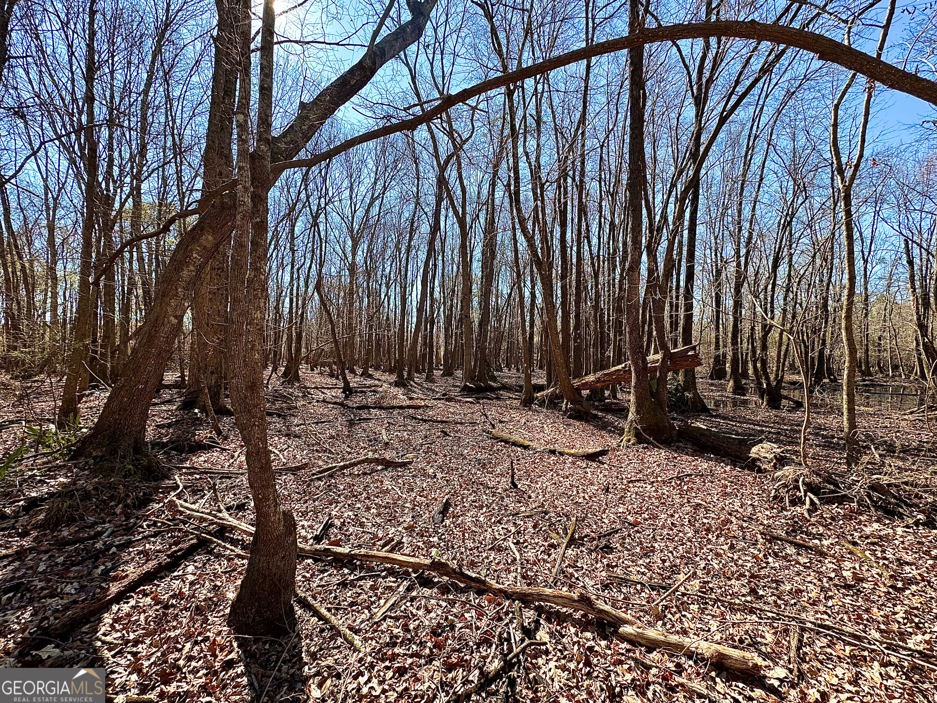 0 Cross Cedar Road Wrightsville, GA 31096 - Photo 8 of 36