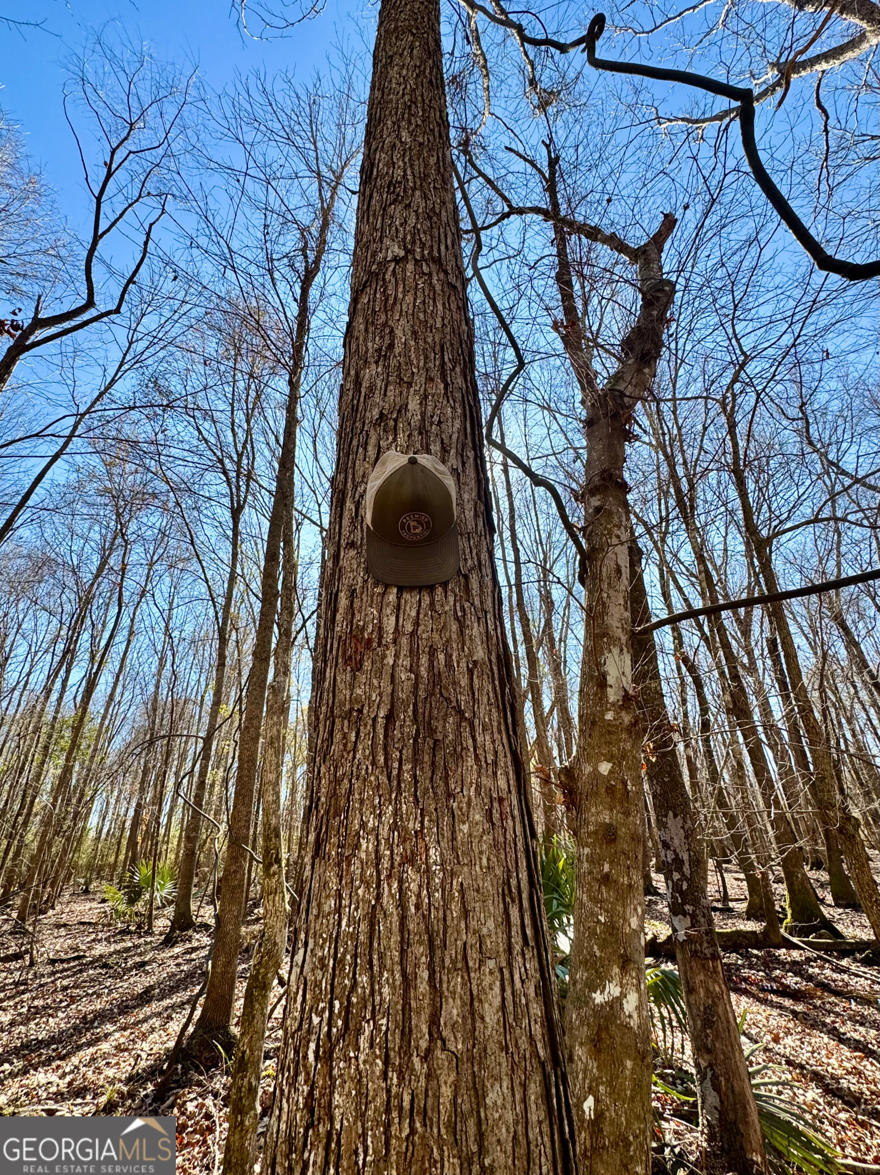 0 Cross Cedar Road Wrightsville, GA 31096 - Photo 9 of 36
