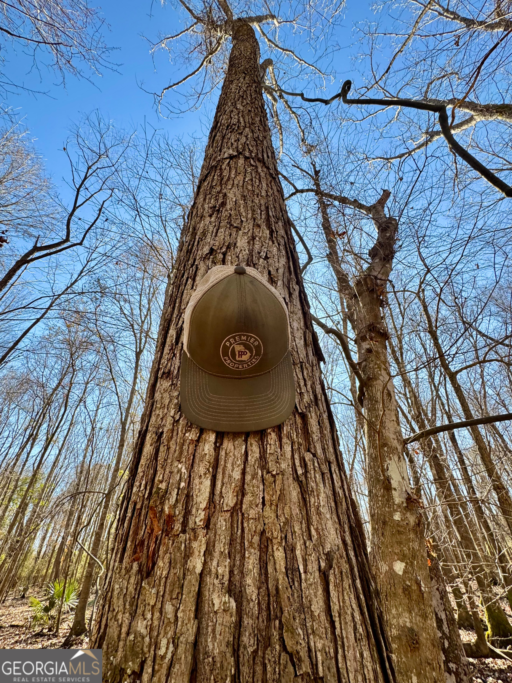 0 Cross Cedar Road Wrightsville, GA 31096 - Photo 10 of 36