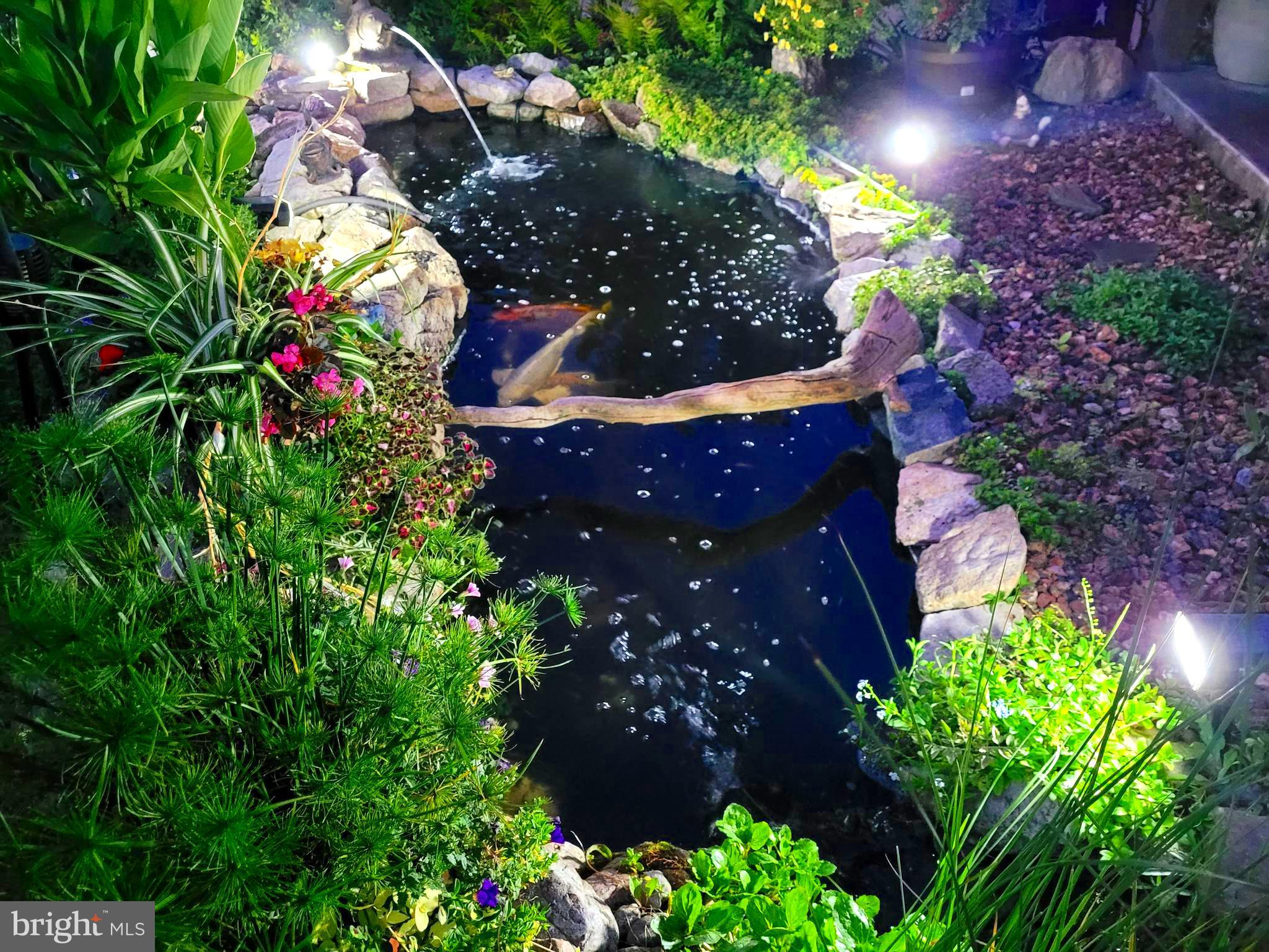 200 Haag Road Reading, PA 19606 - Photo 52 of 80 Koi pond