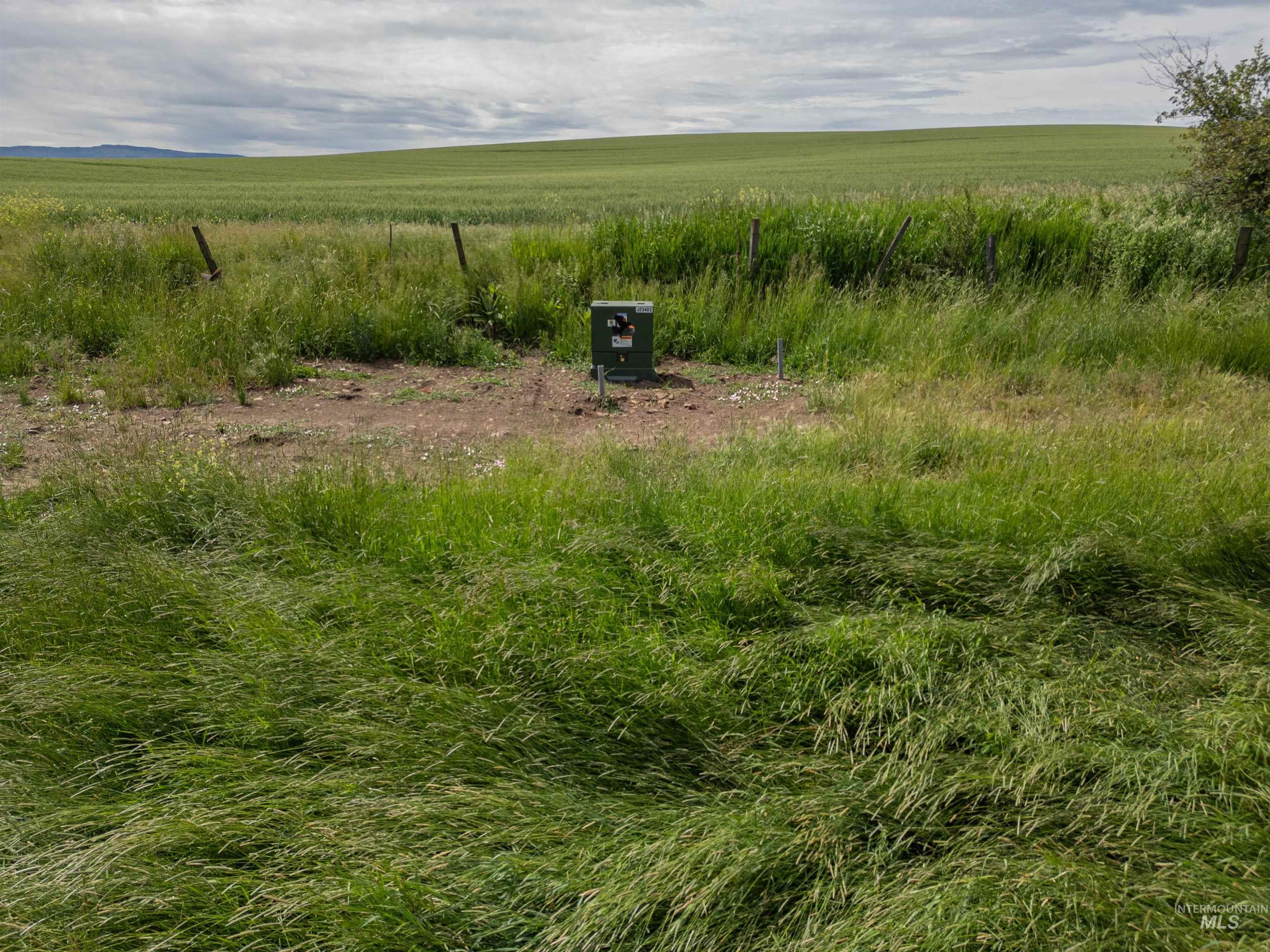 Tbd Wasem Road Grangeville, ID 83530 - Photo 8 of 11