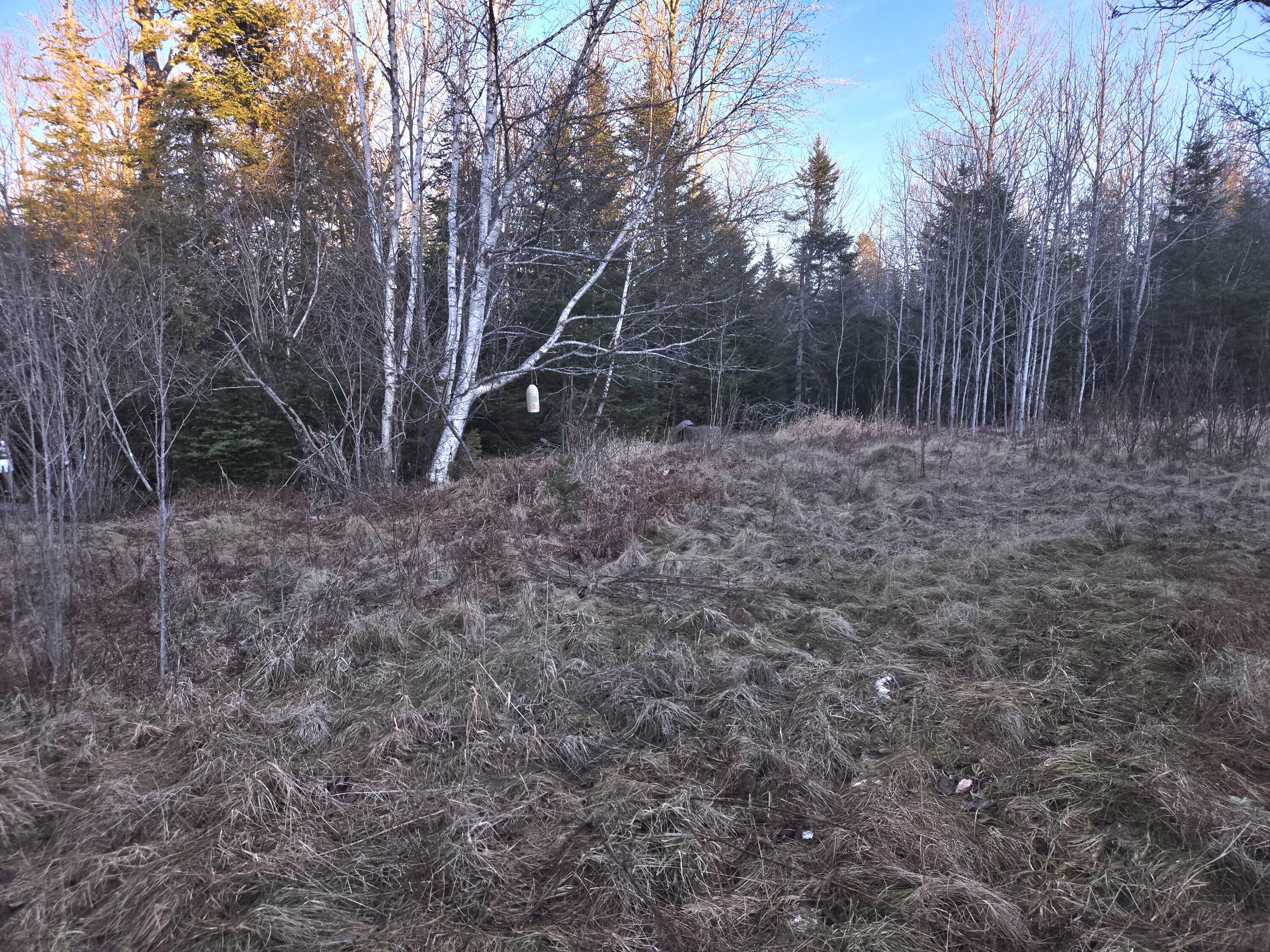 42 South Waterway Road Lubec, ME 04652 - Photo 3 of 11 20241231_152844