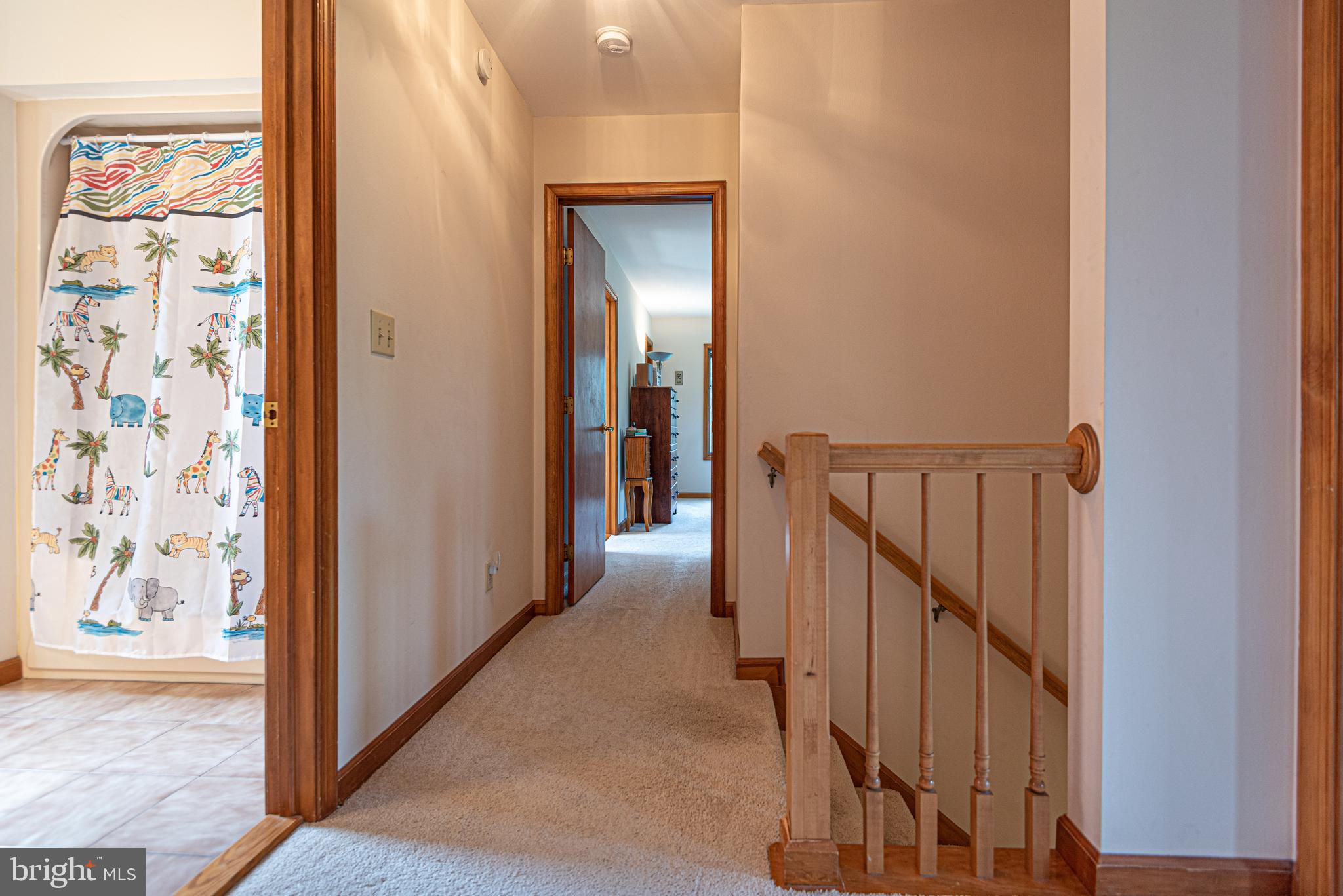 10730 Cathell Road Berlin, MD 21811 - Photo 41 of 80 Gallery Image 41