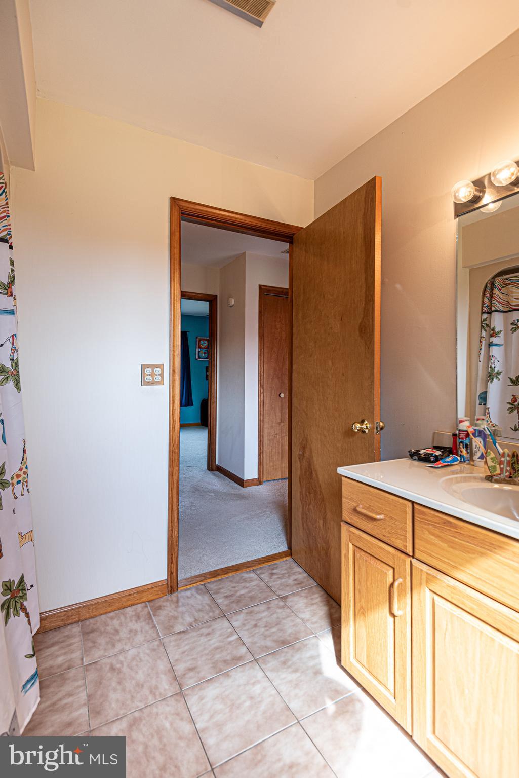 10730 Cathell Road Berlin, MD 21811 - Photo 49 of 80 Gallery Image 49